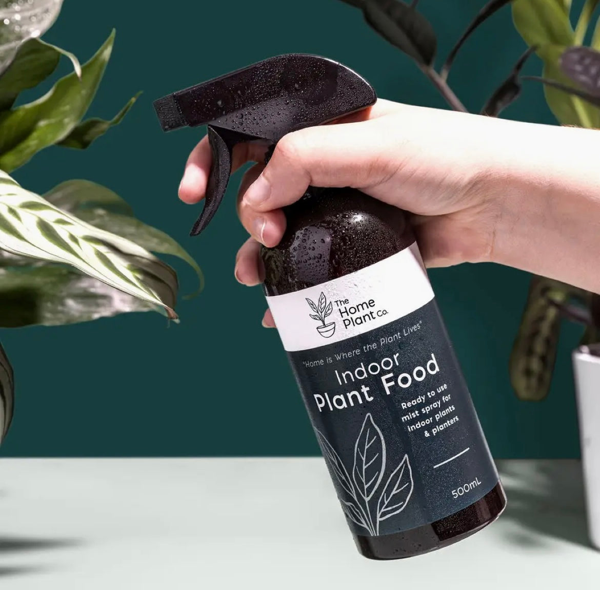 Indoor Plant Food - Foliar Spray 500ml