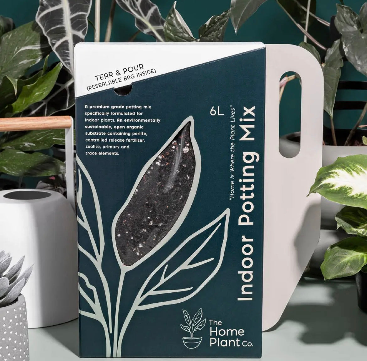 Planting Starter Bundle - Hello Sunshine