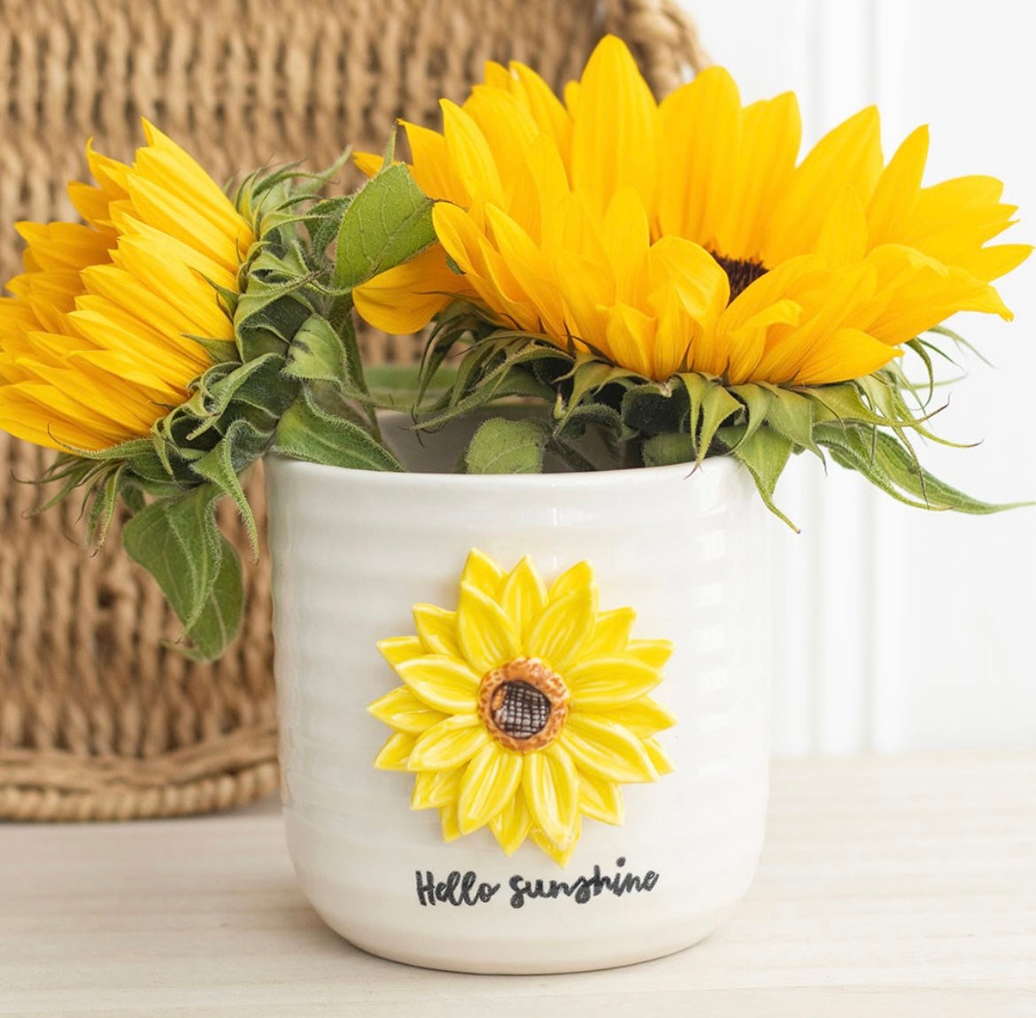Hello Sunshine 3D Sunflower Plant Pot