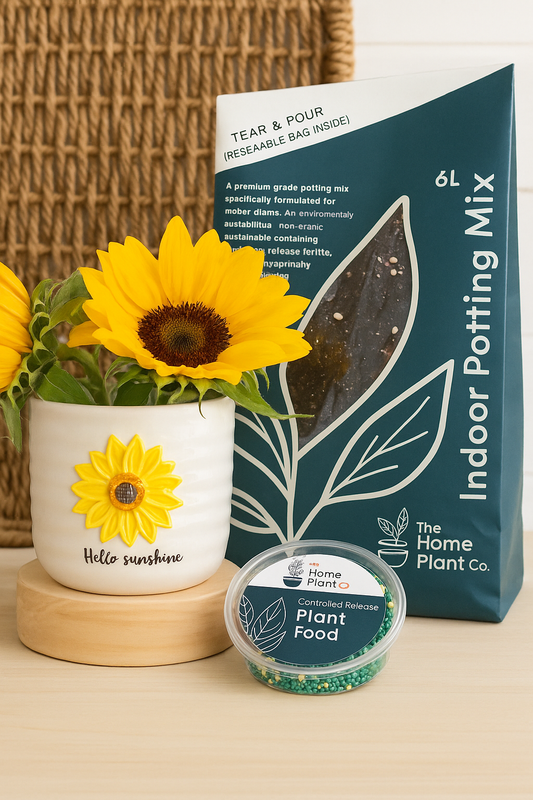 Planting Starter Bundle - Hello Sunshine