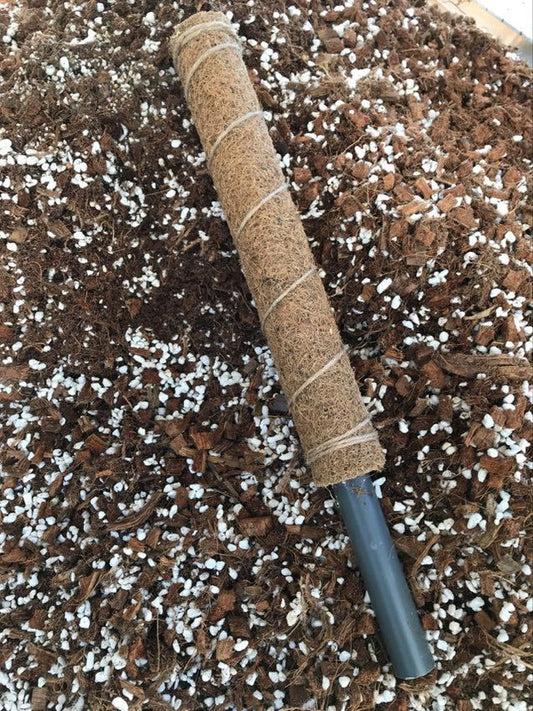 COCONUT COIR POLES 45CM